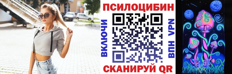 Галлюциногенные грибы Psilocybe  купить наркотик  darknet телеграм  Невельск 